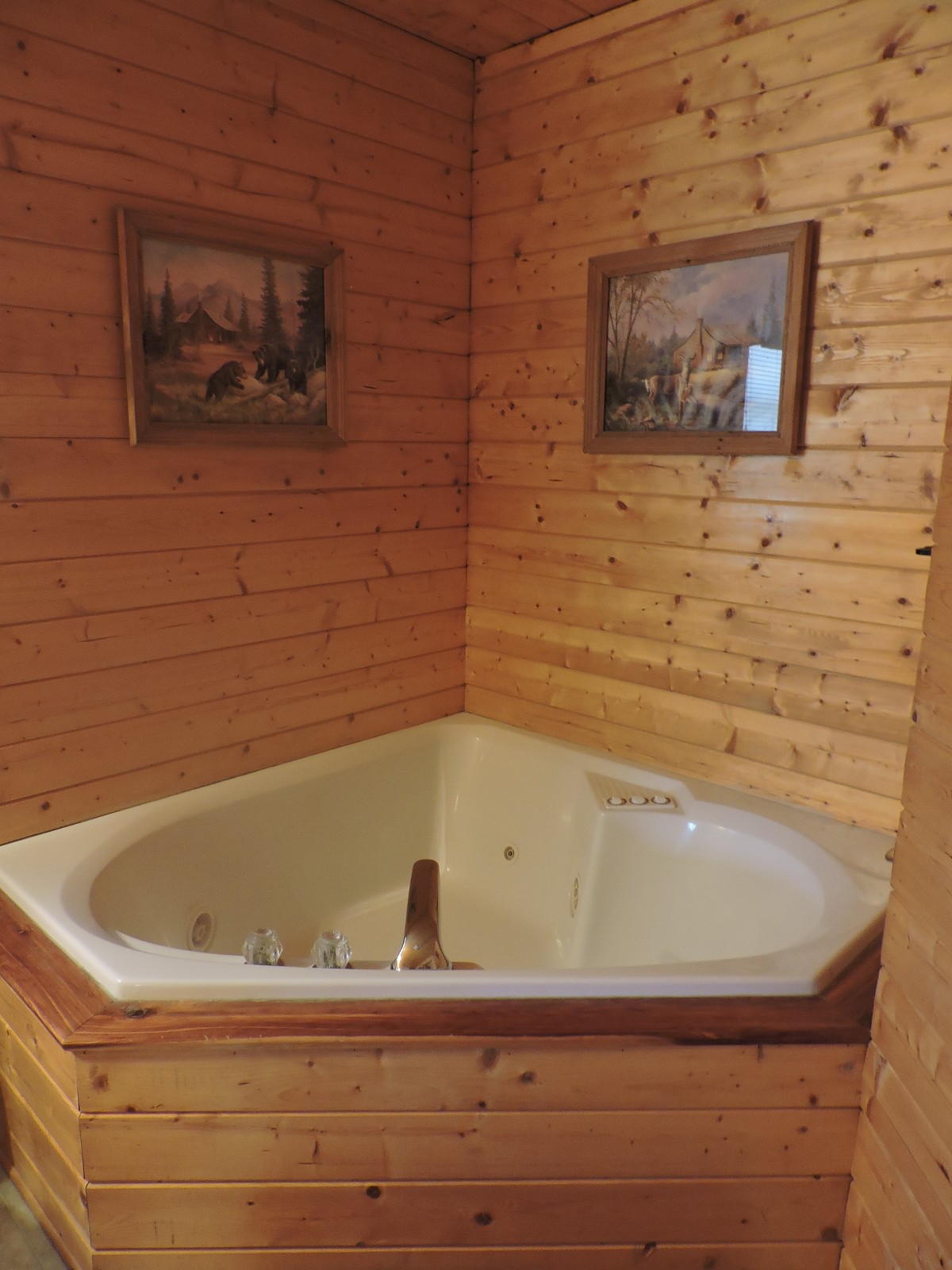 Two Person Jacuzzi Tub